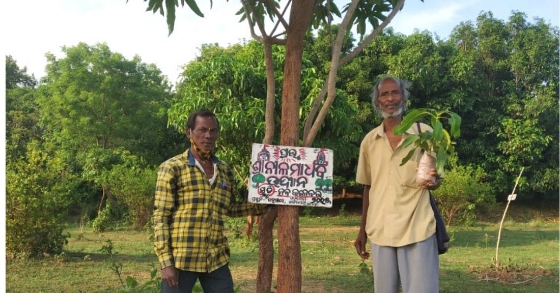 You are currently viewing Inspirational Story of a  75-Year-Old ‘Tree Teacher’ who planted 30,000 Trees